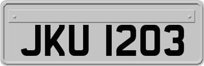JKU1203
