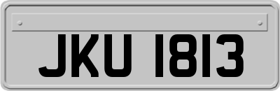 JKU1813