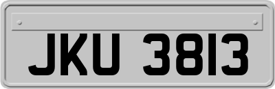 JKU3813