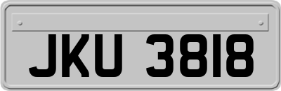JKU3818