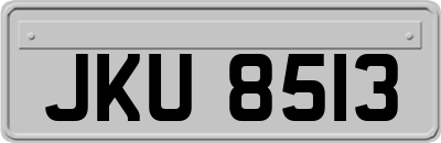 JKU8513