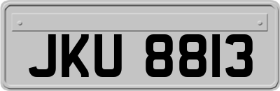 JKU8813