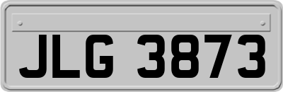 JLG3873