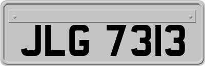 JLG7313