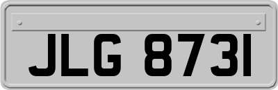 JLG8731