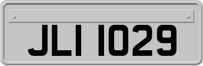 JLI1029