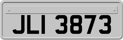 JLI3873