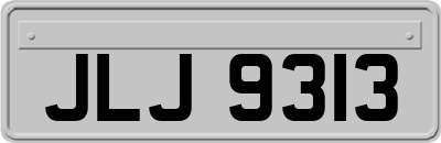 JLJ9313