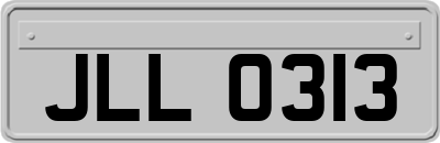 JLL0313