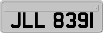 JLL8391