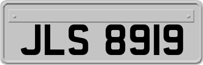 JLS8919