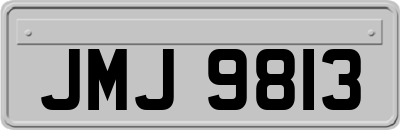 JMJ9813