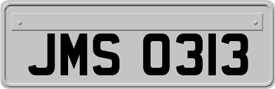 JMS0313