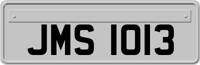 JMS1013