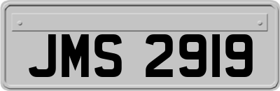 JMS2919