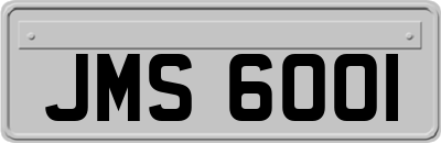 JMS6001