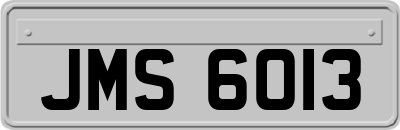 JMS6013