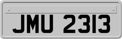 JMU2313