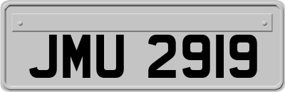 JMU2919