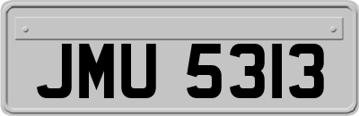JMU5313