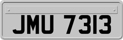 JMU7313