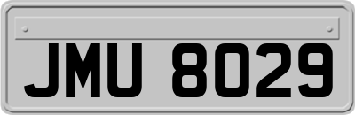 JMU8029