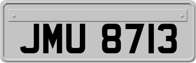 JMU8713