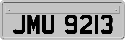 JMU9213