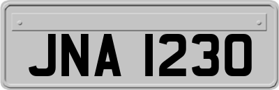 JNA1230