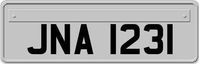 JNA1231