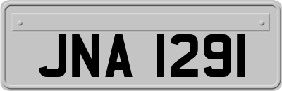 JNA1291