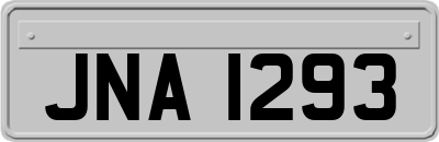 JNA1293