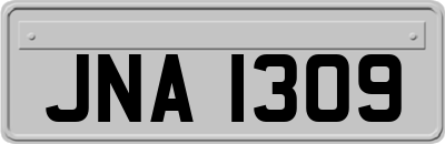 JNA1309