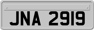 JNA2919