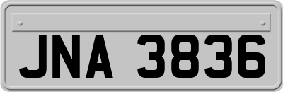 JNA3836