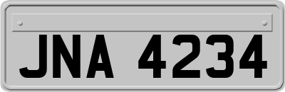 JNA4234