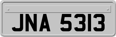 JNA5313