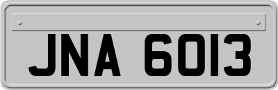 JNA6013