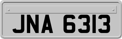 JNA6313
