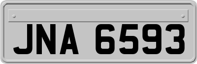 JNA6593