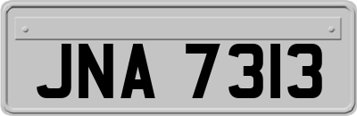 JNA7313