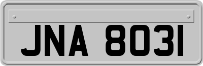 JNA8031