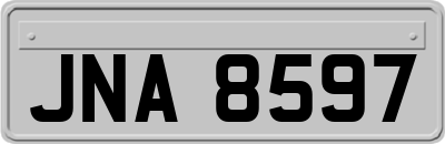 JNA8597
