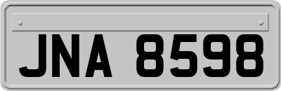 JNA8598
