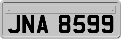 JNA8599