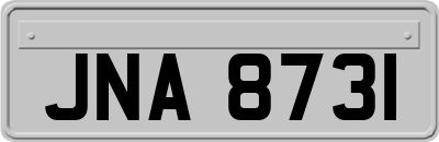 JNA8731