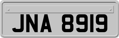 JNA8919