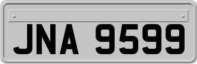 JNA9599