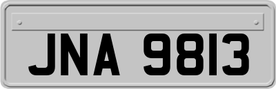JNA9813