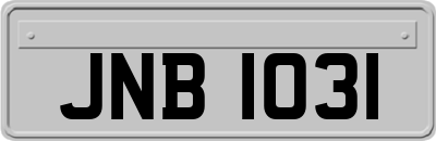 JNB1031